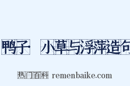 鸭子·小草与浮萍造句是什么意思的图片